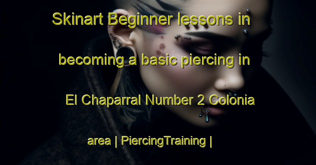 Skinart Beginner lessons in becoming a basic piercing in El Chaparral Number 2 Colonia area | PiercingTraining | PiercingClasses | SkinartTraining-United States